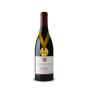 2021 "Up Above" Pinot Noir - Award Winner