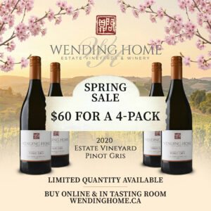 Spring Pinot Gris Sale